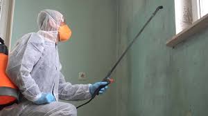 Why You Should Choose Our Mold Remediation Services in Corrales, NM